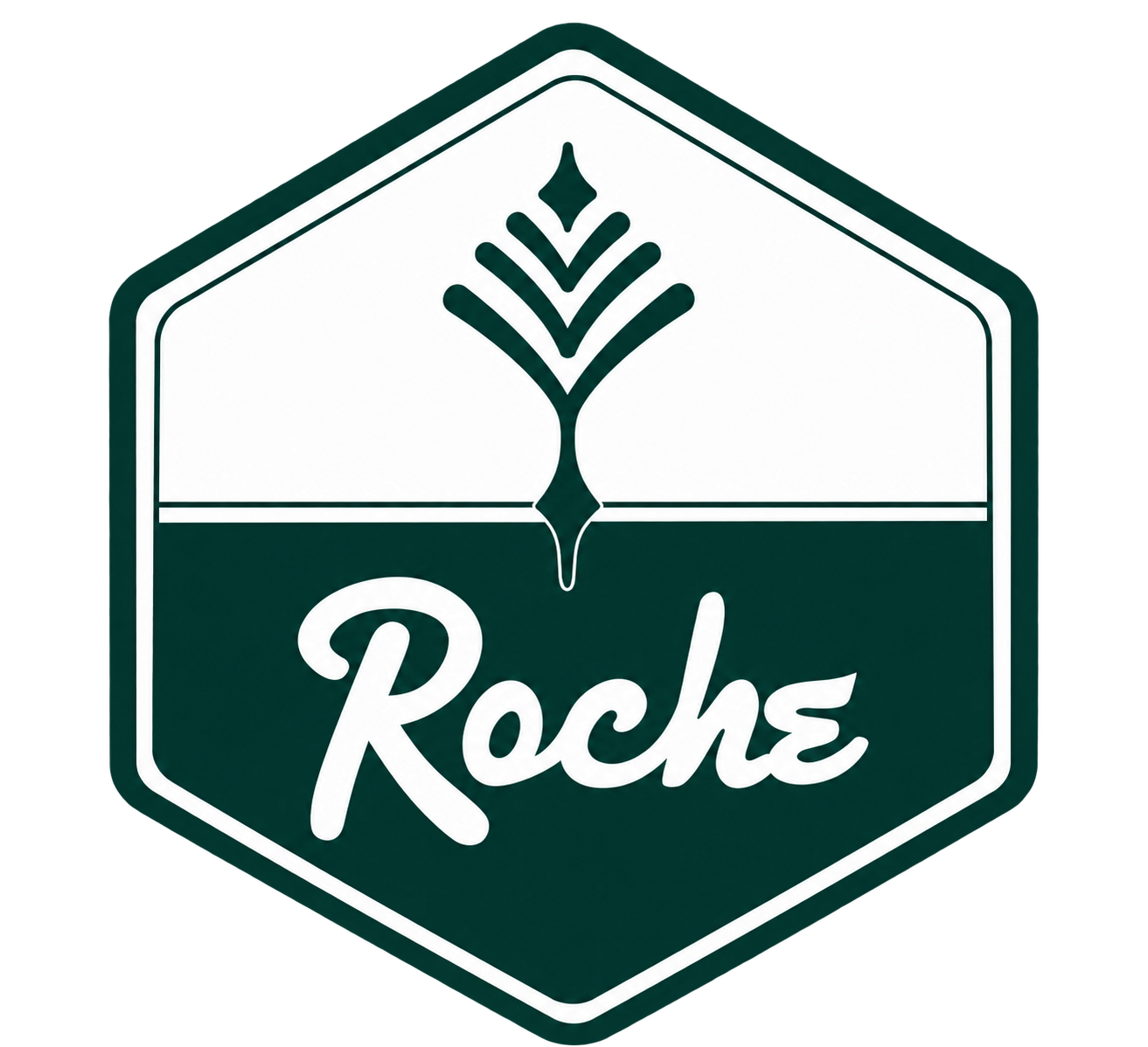 Logo Instruments Roche